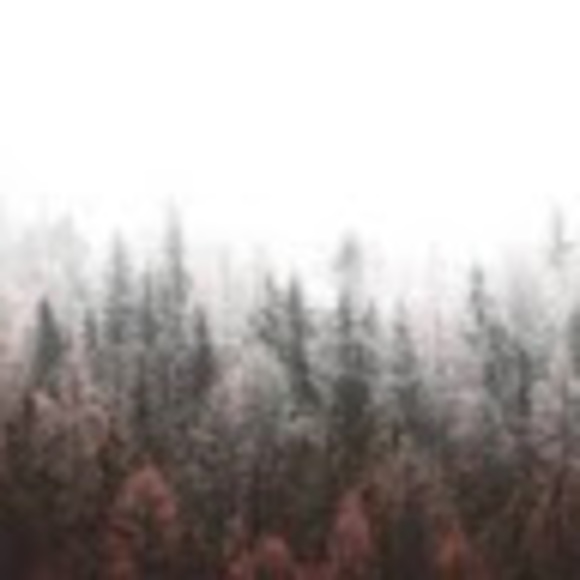 Meet your Posher, Aleah - Picture 1 of 1